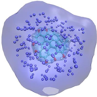 Steady-State Linear and Non-linear Optical Spectroscopy of Organic Chromophores and Bio-macromolecules